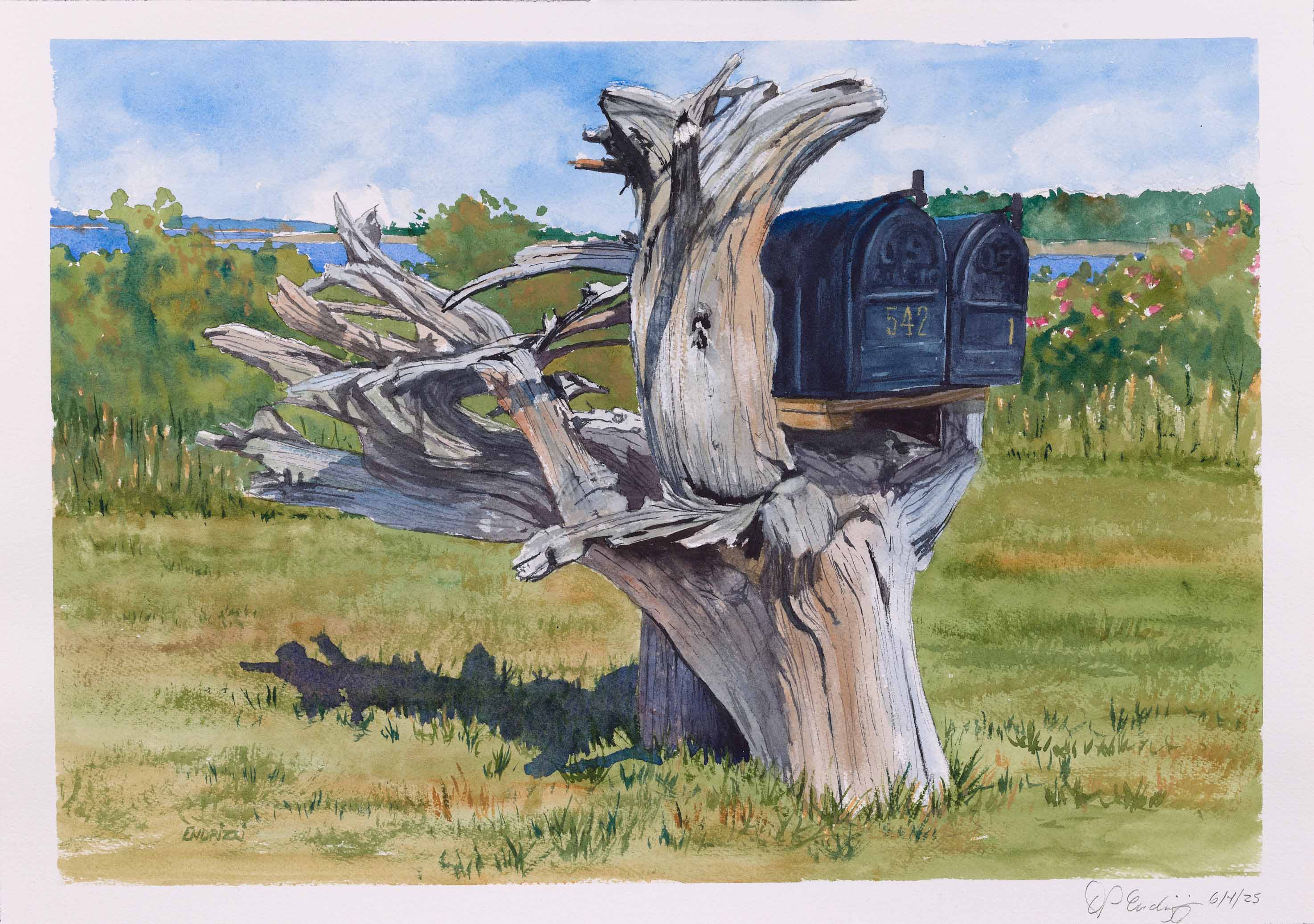 Mailboxes - Black Point Road, 2025, watercolor on paper, 12 x 18 inches