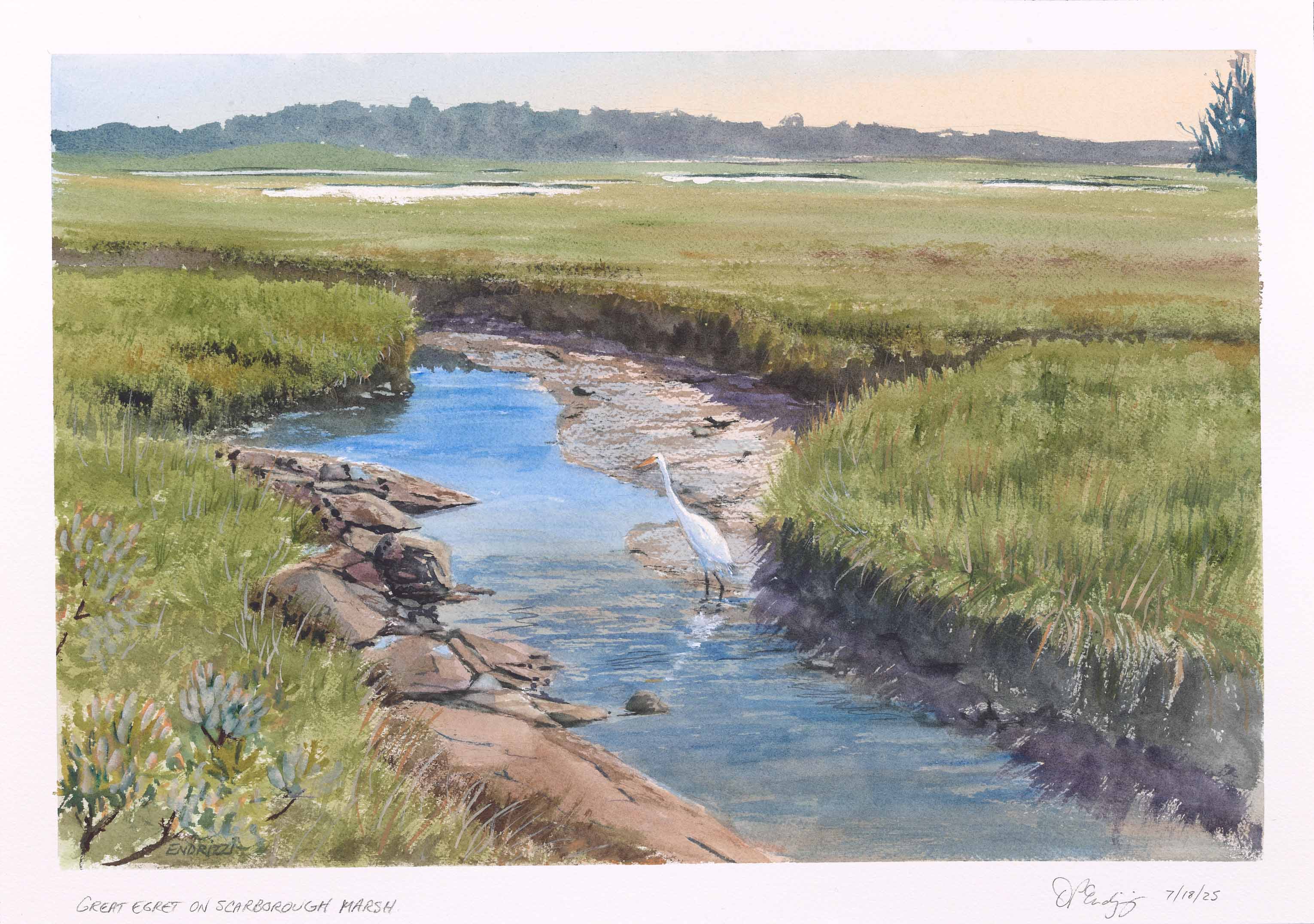 Great Egret on Scarborough Marsh, 2025, watercolor on paper, 12 x 18 inches
